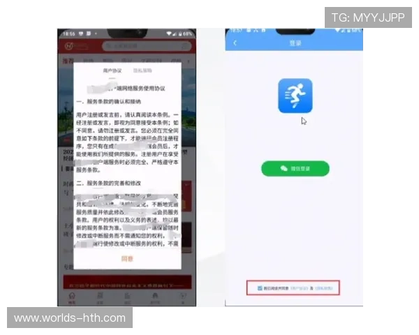 hth体育官网入口app安全登录攻略，保障用户账号信息安全与隐私保护的实用技巧
